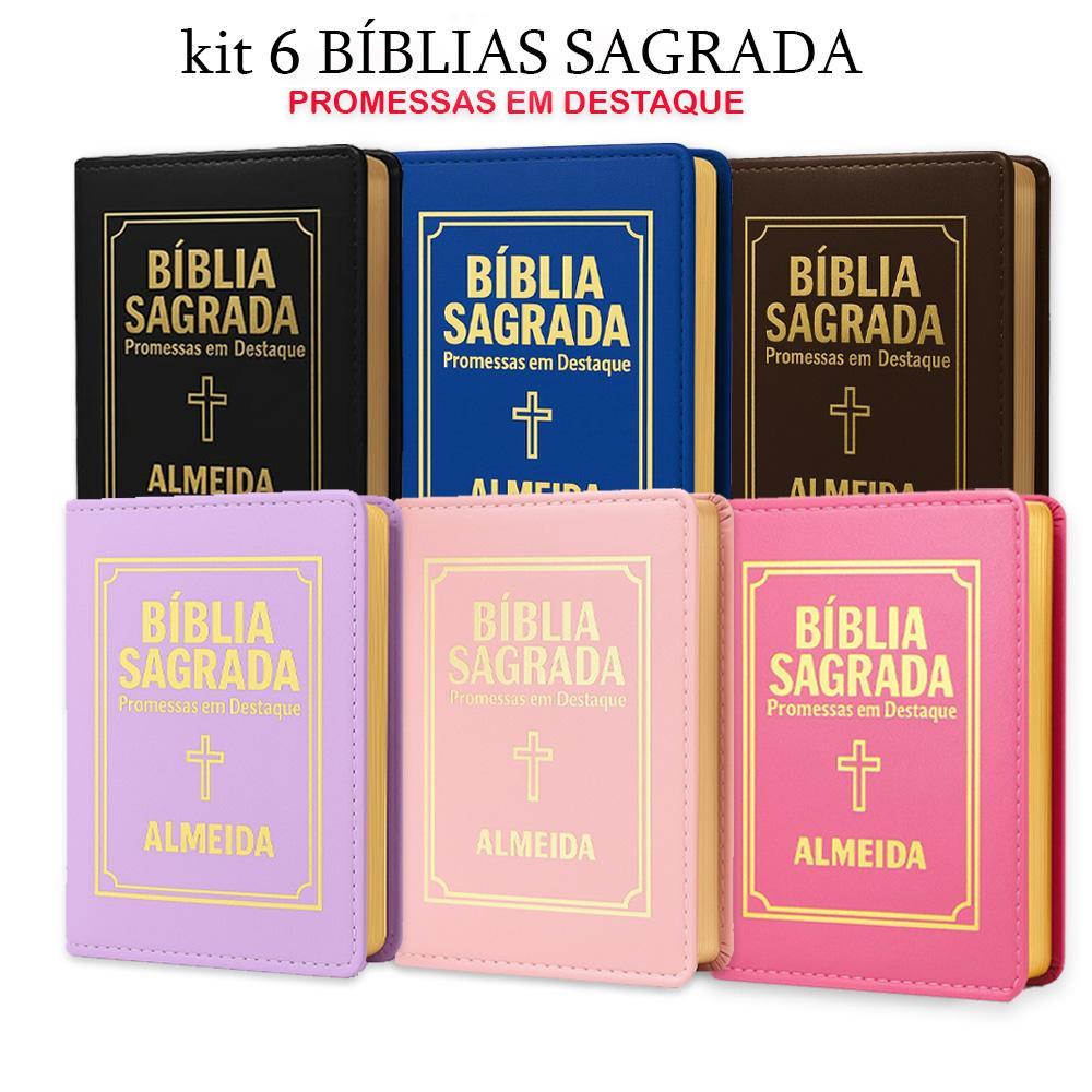 Kit com 6 Bíblias Sagradas Letra Pequena Luxo Sortidas em Oferta na Shopee