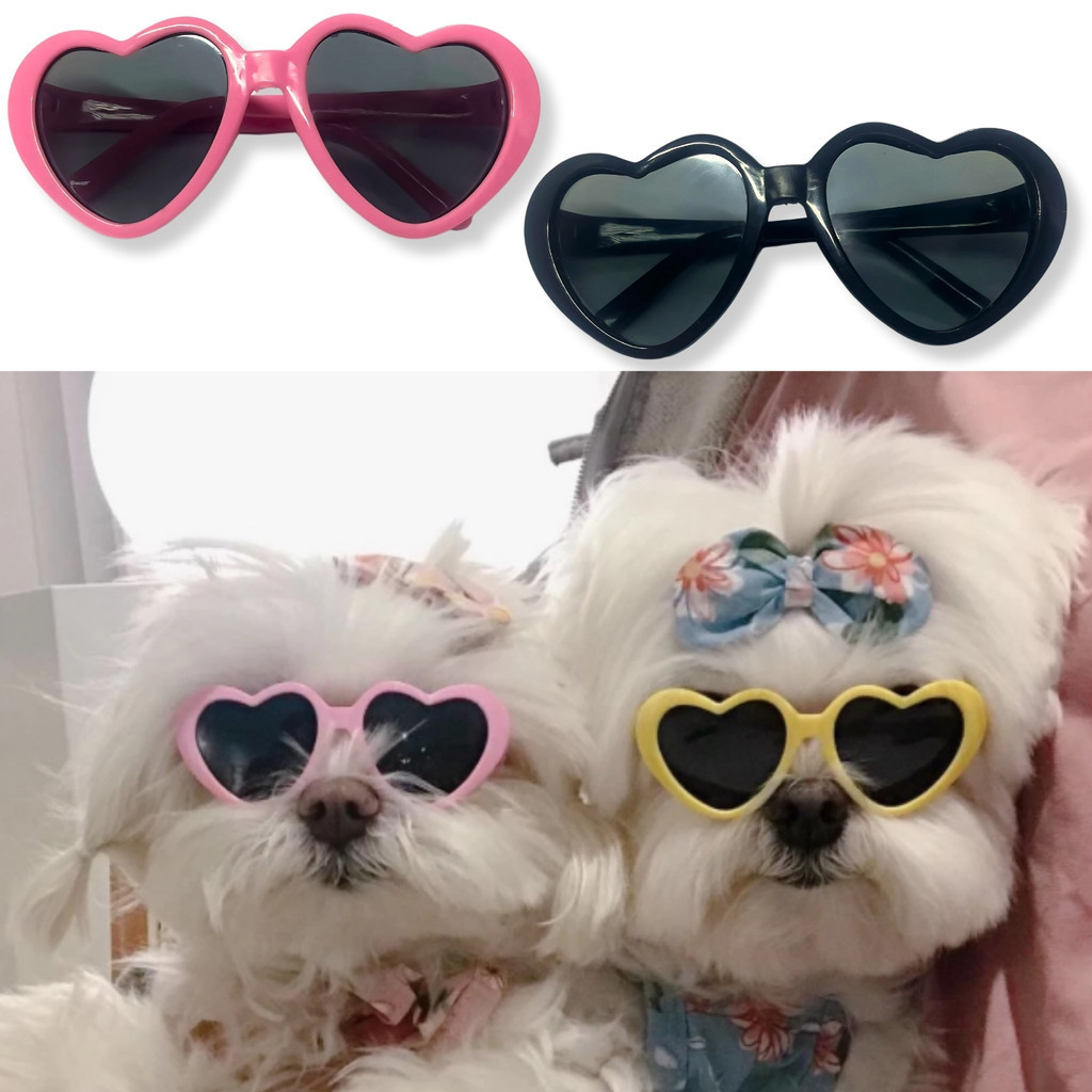 Óculos Pet Luxo Fashion para Cachorro Gato Modelo Coração Acessório Instagramável Fotos Estilosas