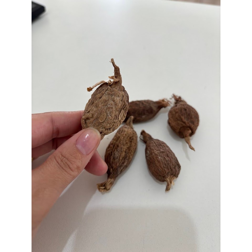 ATARÉ (SEMENTES AFRICANA )