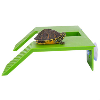 Plataforma Rampa Tartatuga Repteis Terrarios Aquario 22x17cm em Oferta na Shopee
