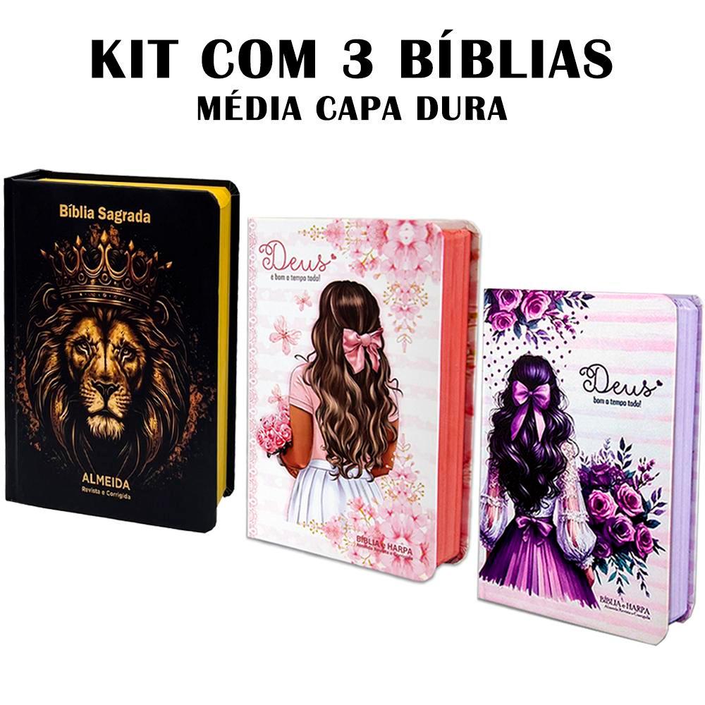Kit 3 Bíblias Letra Grande luxo com Harpa  - Edição de Promessas em Oferta na Shopee