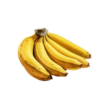 Banana Nanica Orgânica Sítio Cambara