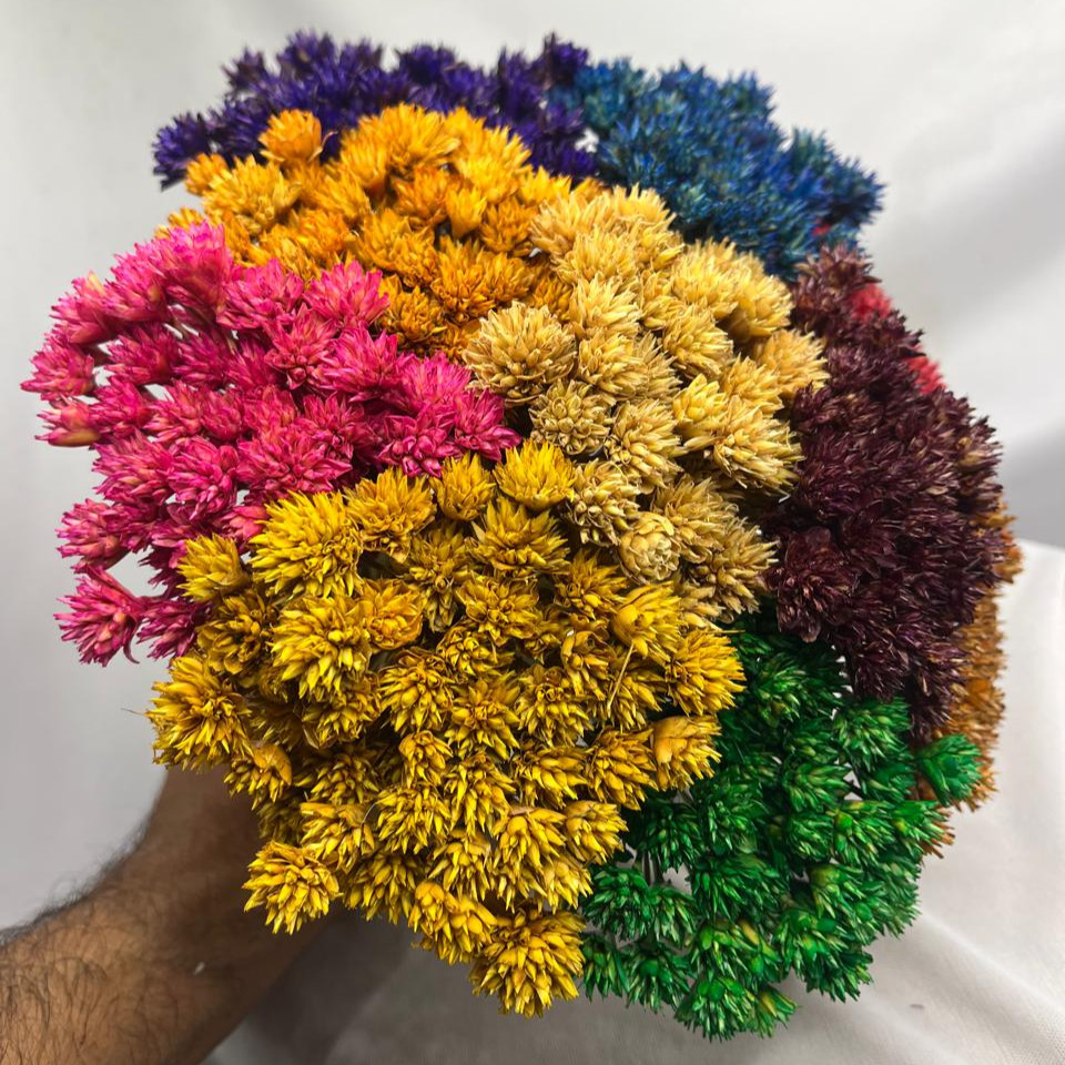 Buquês Espeta Nariz, Flores secas e Desidratada, Sempre Vivas, Decoração Arranjos em Oferta na Shopee