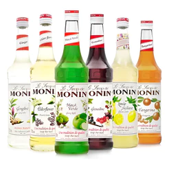 XAROPE MONIN 700ML VARIOS SABORES