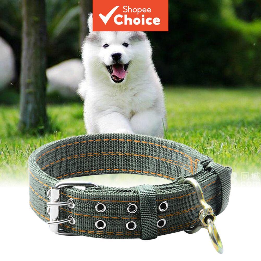 Colar Duplo para Cachorro de Estimação para Cães Grandes (Verde) corrente para cachorro focinheira para cachorro