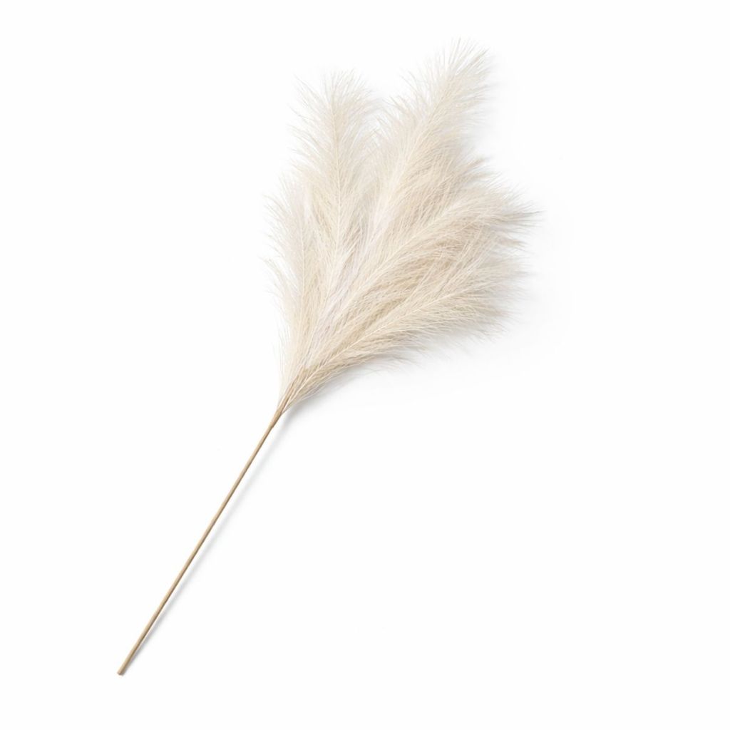 Capim Dos Pampas Plumas Grande Decorar Haste Escritório Sala