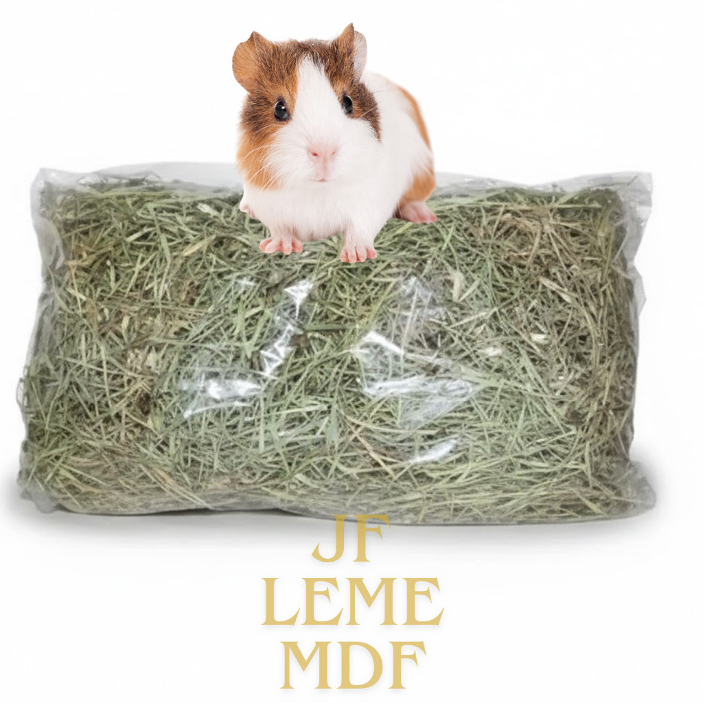 1kg Feno verdinho para hamster/coelho/porquinho da índia chinchila em Oferta na Shopee