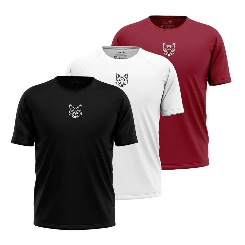 Kit 3 Camisetas Masculina Dry Alpha Co