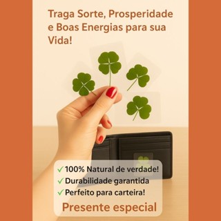 Trevo de 4 folhas da sorte plastificado em Oferta na Shopee