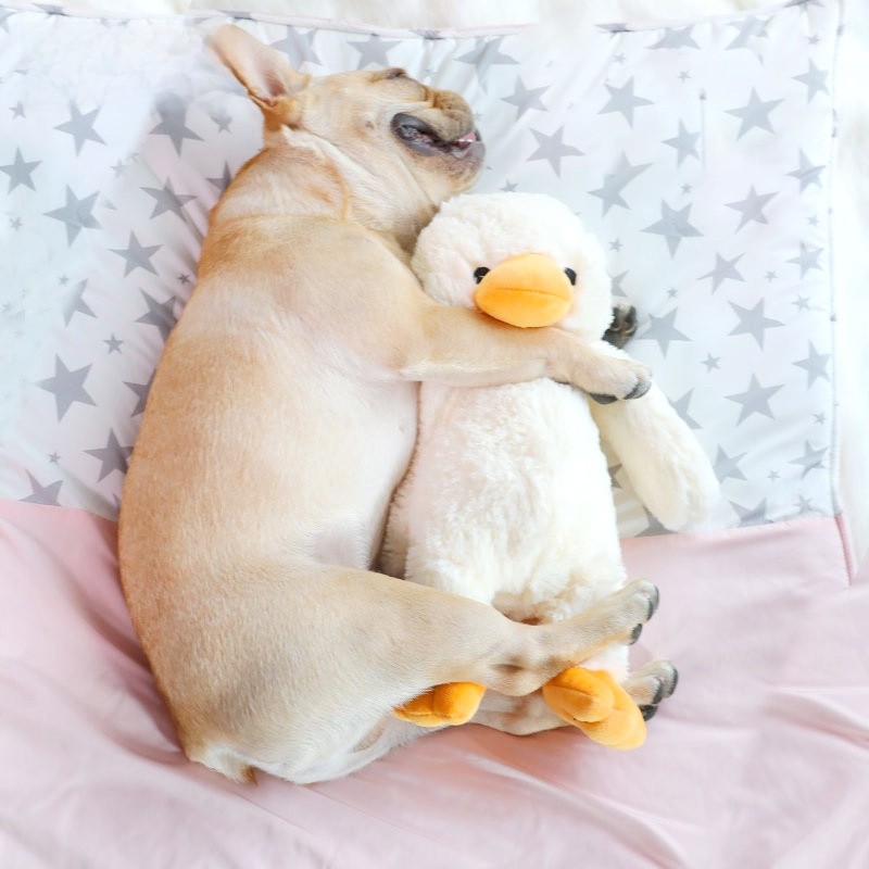 Brinquedos para cães Brinquedos para mastigar Brinquedos para animais de estimação Suprimentos para animais de estimação