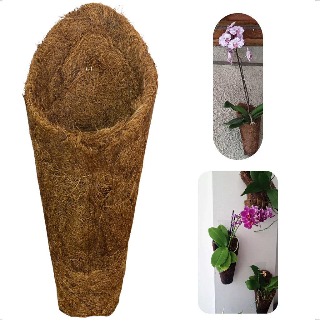 Vaso Cone Concha M Médio Fibra de Coco Cachepot 21x7,5cm Pendurar Natural Ecológico Orquídeas Xaxim