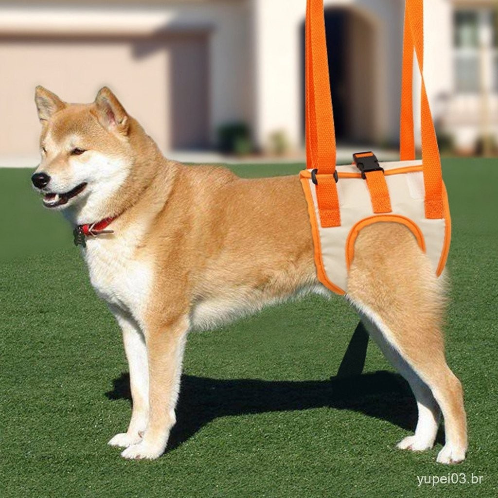 Cinto De Perna Para Animais De Estimação Ajustável Fivela Fixa Dupla Portátil Arnês De Engenharia Cachorro