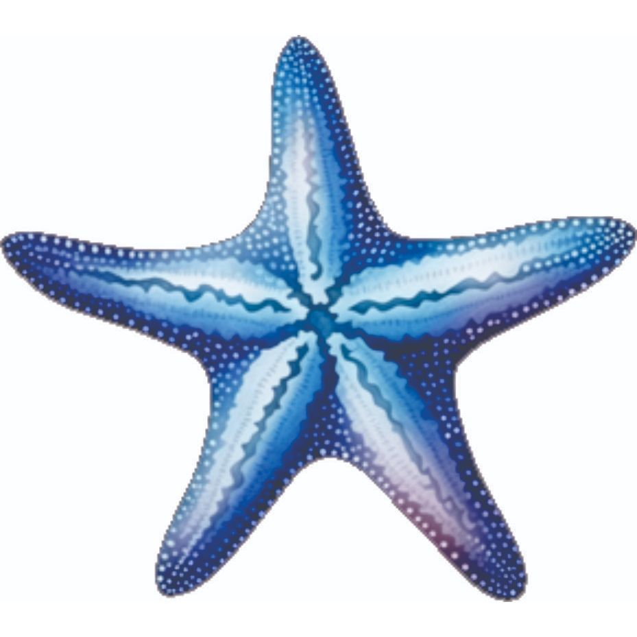 DISPLAY MDF ESTRELA FUNDO DO MAR AZUL