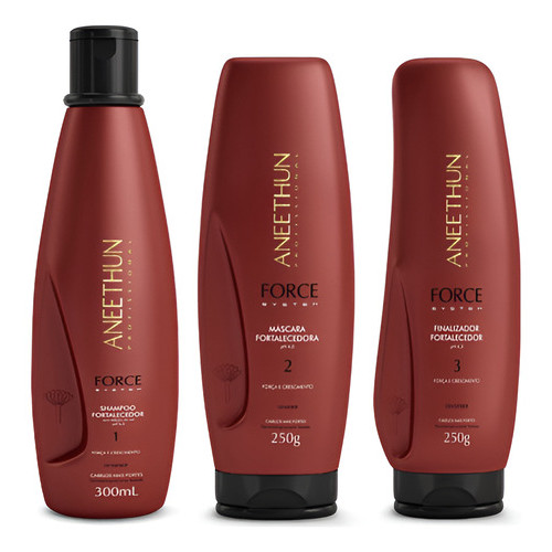 Kit Aneethun Force System Shampoo +máscara 250g +finalizador E.B