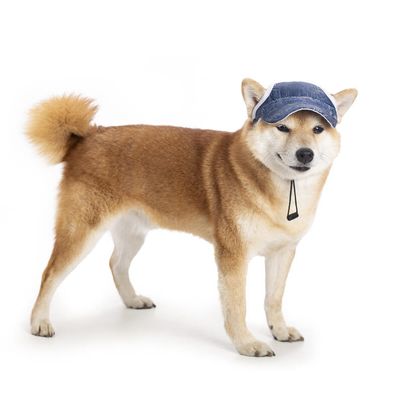 Boné De Beisebol Ajustável Para Cães De Estimação , Chapéu De Sol Animais Ao Ar Livre Cachorro Com Furos As Orelhas