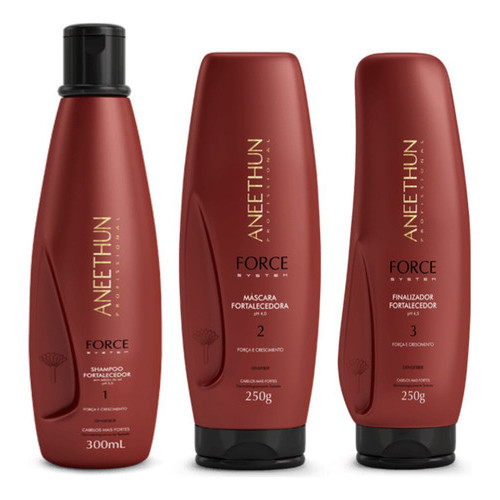 Kit Aneethun Force System Shampoo +máscara +finalizador 250g E.B