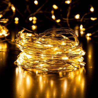 Cordão de LED Decorativo Fio Fada 10m 100 LEDs Fixos a Pilha ou USB– Branco Quente ou Colorido em Oferta na Shopee