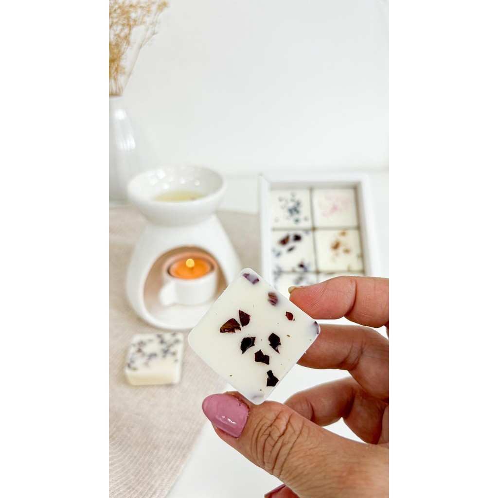 Wax Melt Kit Degustação Coleção Essencial vela terapeutica 100g em Oferta na Shopee