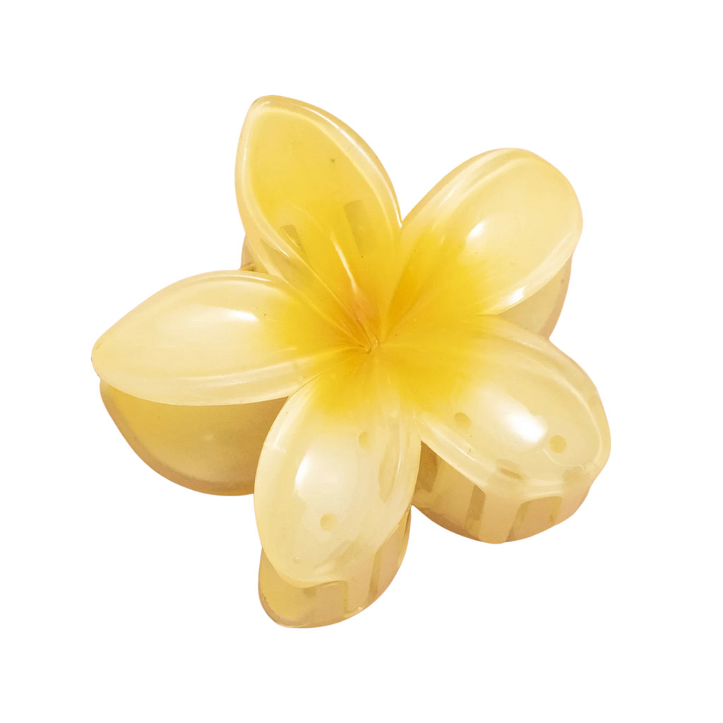 Presilhas de Flor Hibisco (Cor Sortida) em Oferta na Shopee