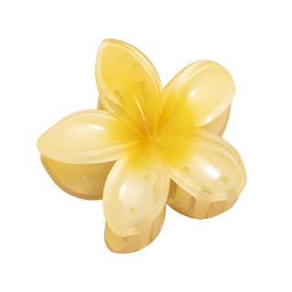 Presilhas de Flor Hibisco (Cor Sortida) em Oferta na Shopee