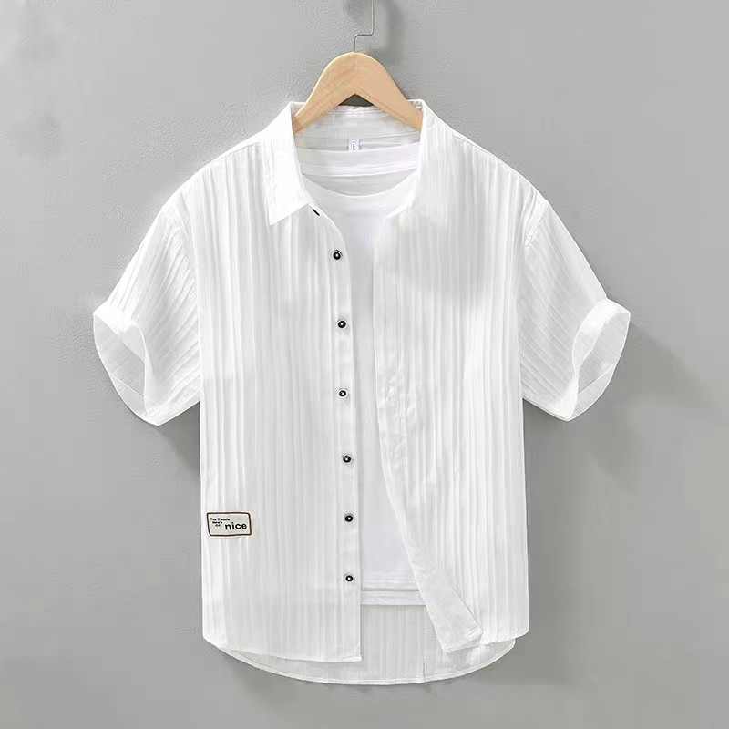 Camisa de manga curta masculina de verão fino Casual trabalho polegada camisa respirável moda dobra textura camisa mascu