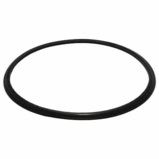 Anel vedador portinhola tanque GM 93388997 em Oferta na Shopee