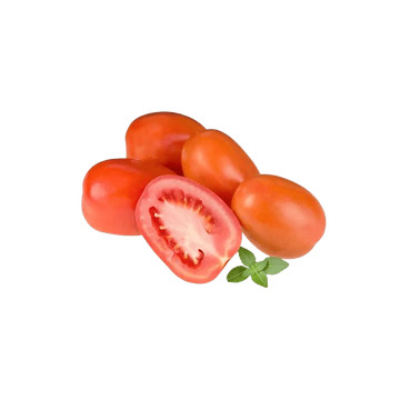 Tomate Italiano iFrutus