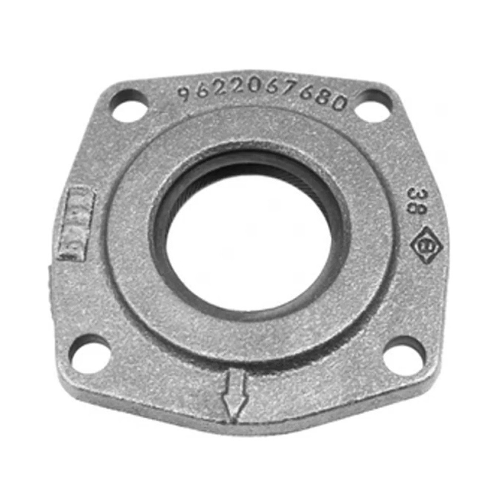 9822498280 Retentor Com Flange Câmbio Manual Peugeot