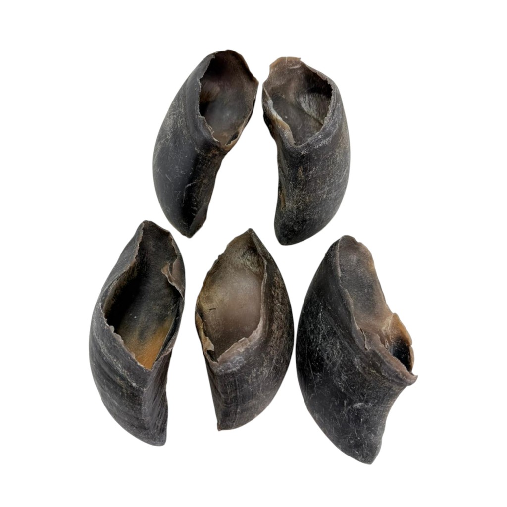 Opaparico Casco Búfalo Mordedor Natural - 5un