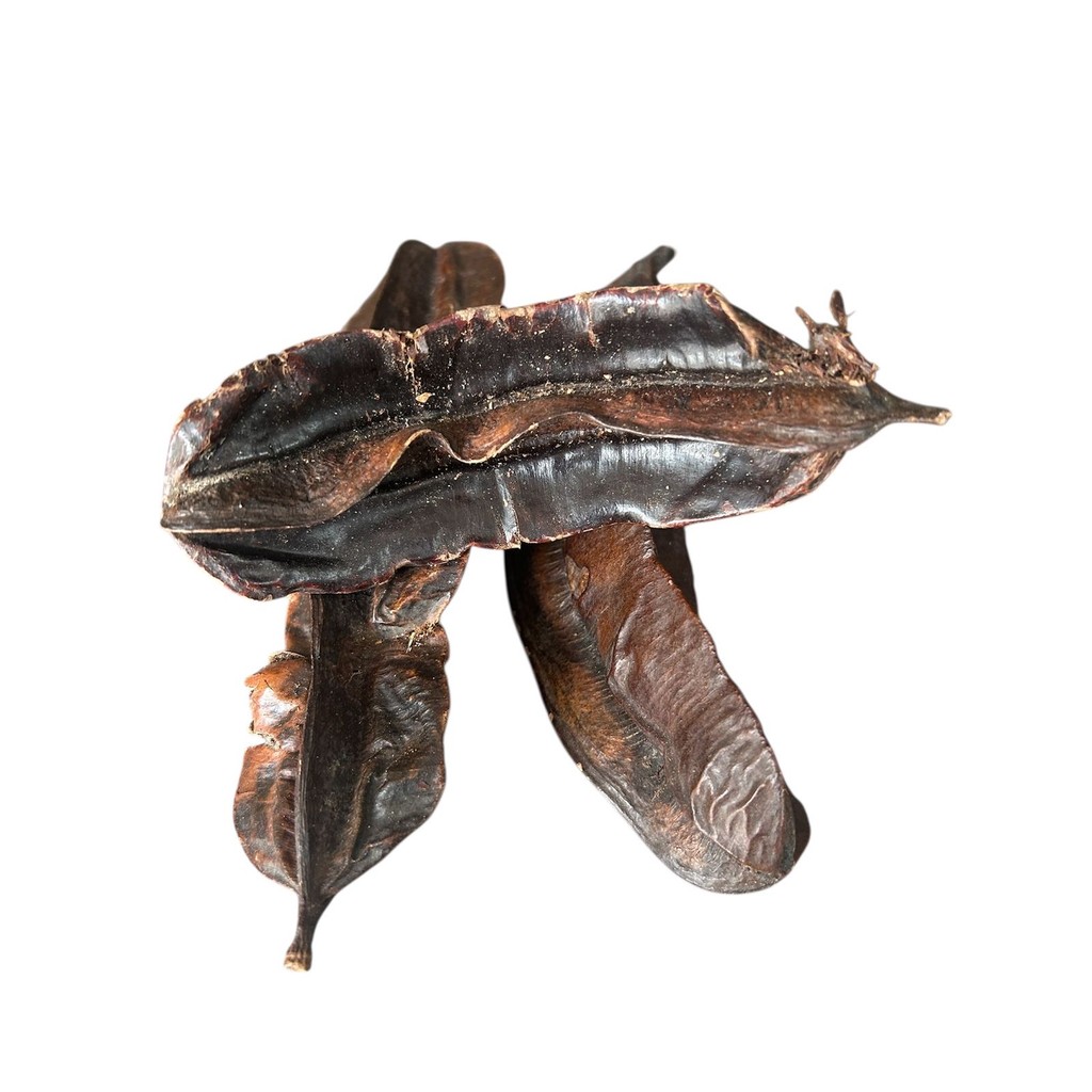 Fava De Aridan Africana Original Para - Rituais Religiosos (1 UNIDADE)