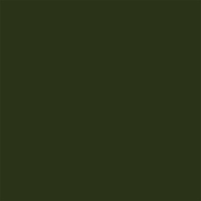 T. Pva 250ml 36-verde Espinafre