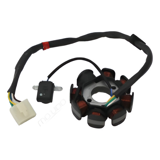 Estator Com Bobinas Shineray Jet 125 2x