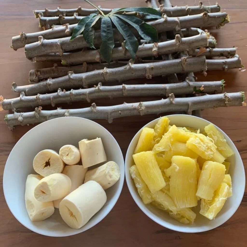 O que é Maniva de Mandioca Embrapa? Guia e Onde Comprar | BuscaProdutos