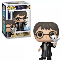 Boneco Funko Pop! & Buddy Exc Harry Potter - Harry e Edwiges