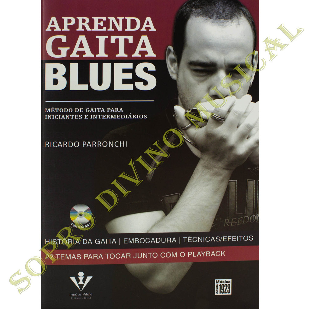 Aprenda a tocar Gaita Blues Ricardo c/ CD