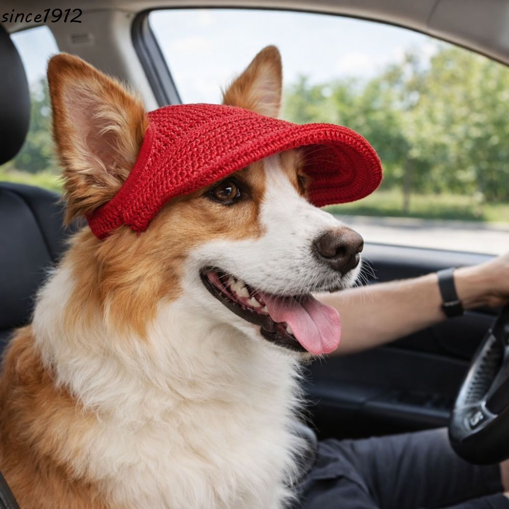 Chapéu De Viseira Para Cachorro SINCE , Sol Respirável Animais De Estimação Com Furos As Orelhas , Proteção Solar , Resf