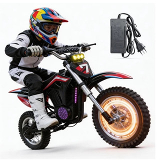 Moto Cross Elétrica Infantil 350W 3 Velocidades, Freio Hidráulico Luzes LED Bateria 36V/4.0Ah Pneu 12" Crianças 8+ em Oferta na Shopee