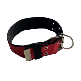 Coleira De Nylon Duplo Resistente Com Fecho Fivela 2 Pinos Para Cães De Médio E Grande Porte em Oferta na Shopee