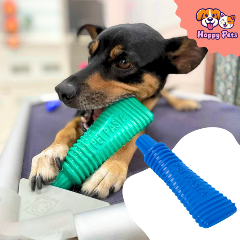 Mordedor Em Nylon Pet Pasta Da Pet Games Brinquedo Super Resistente E Ocupacional Para Cão Cachorro