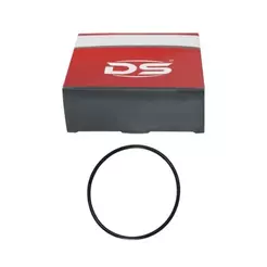 GUARNIÇÃO FLANGE BOMBA COMBUSTÍVEL DS 1465 207, 307, C3, C4