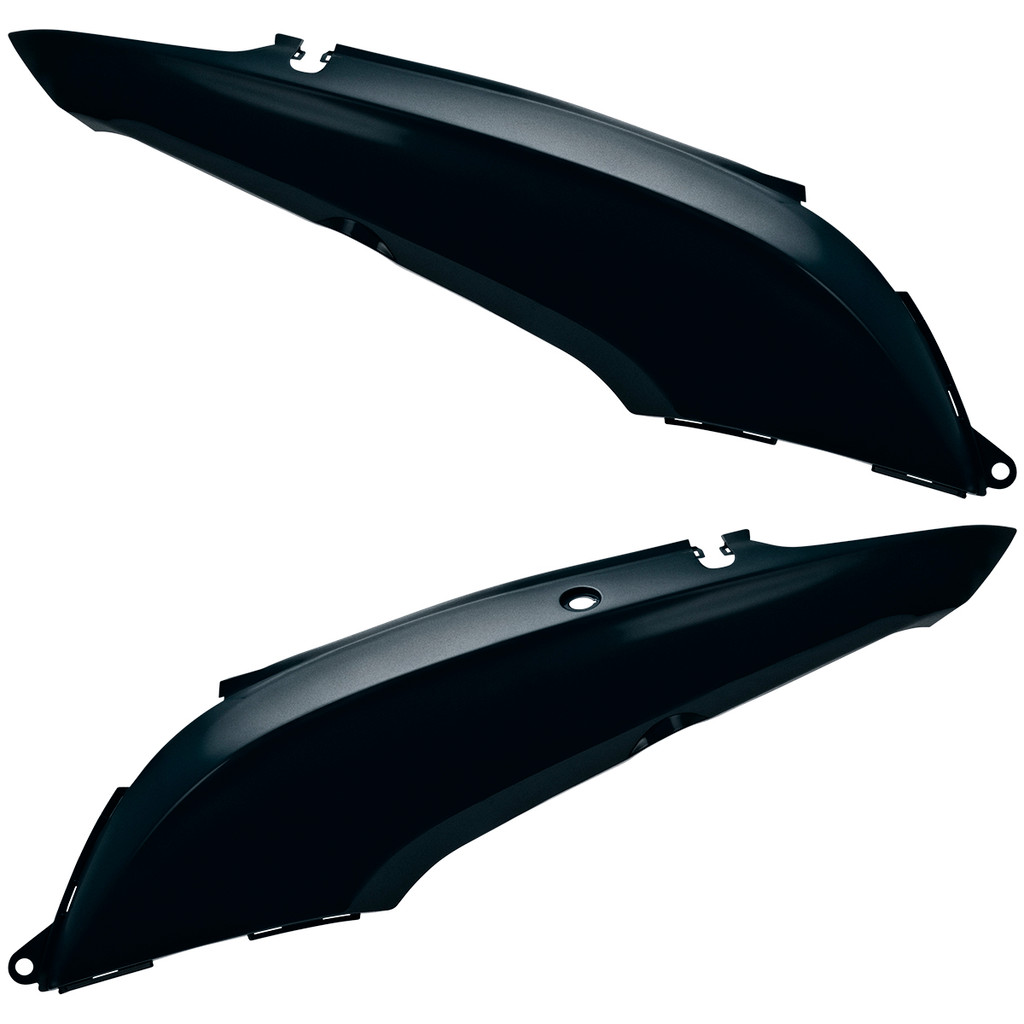 Par Carenagem Tampa Lateral Honda Biz + 125 Ex 2011 a 2017 Modelo e Cores Original Protork