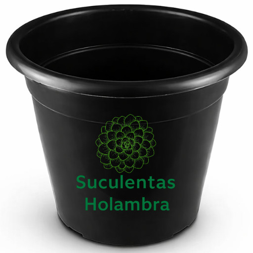 Kit 10 Vasos Redondos Grande Preto 15 Litros