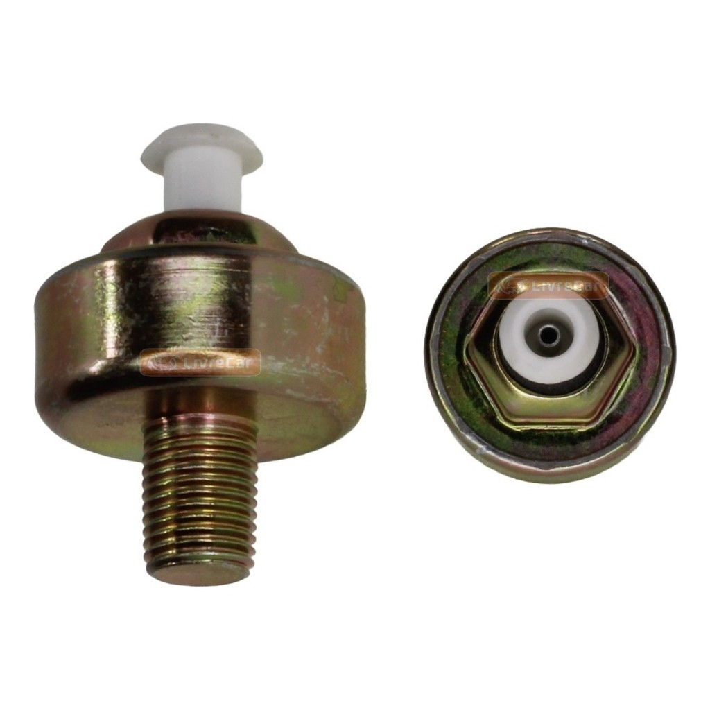 Sensor Detonação Omega Suprema 2.2 Mpfi 1995 À 1998 10456001