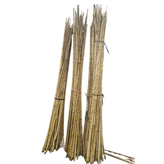 Estaca de Bambu Natural 120 cm Tutor para Plantas Horta Jardim Artesanato 1 a 3cm Kit em Oferta na Shopee