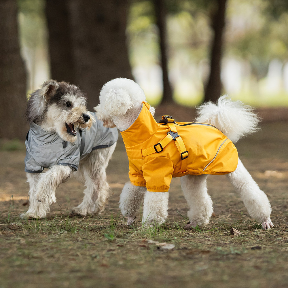 Apenas pet Belle cão de estimação peito volta capa de chuva de duas pernas à prova dwaterproof água Teddy médio filhote 