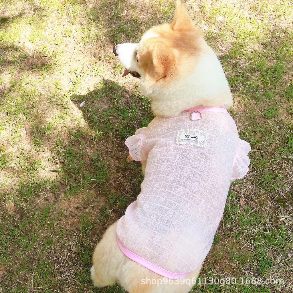 Primavera verão anti-fiação Ultra-fino leve macio roupas para animais de estimação gatos cães gaze universal manga voado