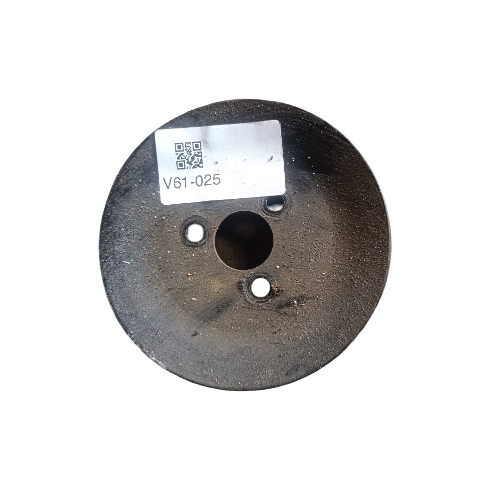 Polia Bomba Direção Hidráulica Ford Ecosport 1.6 8v 04-12.