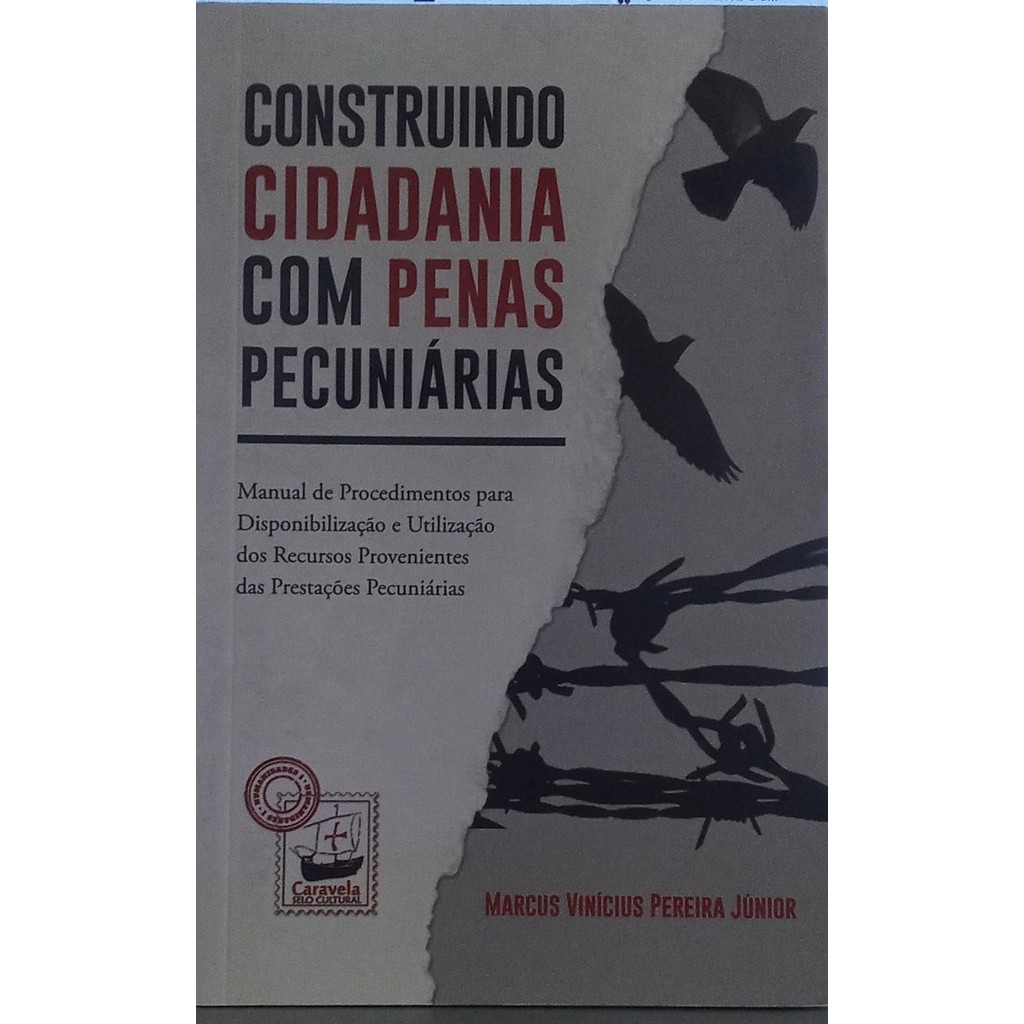 Construindo cidadania com penas pecuniárias de Marcus Vinícius Pereira Júnior 7783929