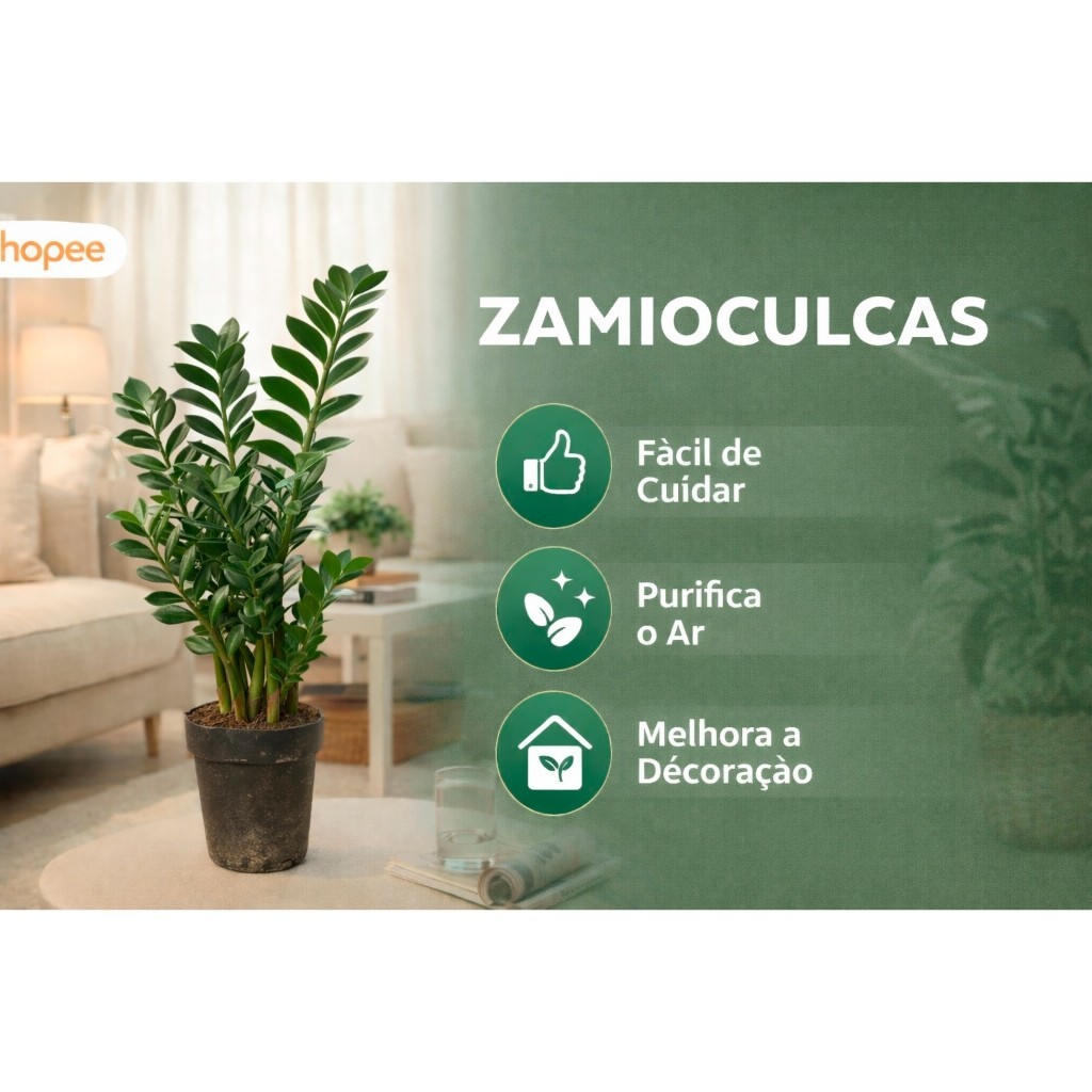 Planta Ornamental Zamioculca em Vaso 60cm e 25cm Verde ou Black para Ambiente Interno em Oferta na Shopee