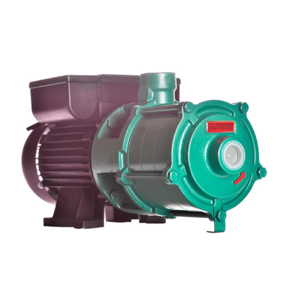 Bomba Thebe P-11/4 Nr 2,0 Cv Monofásica Ip 55 220/440V Motor Thebe